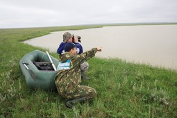Координация планов действия