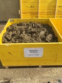 Закладка серии экспериментов по определению скорости очистки  биопрепаратом «БИОРОС» искусственно загрязненного углеводородами почвогрунта