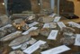 Фрагмент коллекции исторических окаменелостей в Геологическом музее Ухтинского филиала ООО «Газпром ВНИИГАЗ»