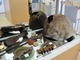 Пробитая каска, штык найденный в месте, где развернулась Сталинградская битва, другие артефакты на выставке "Живая история" в Ухте